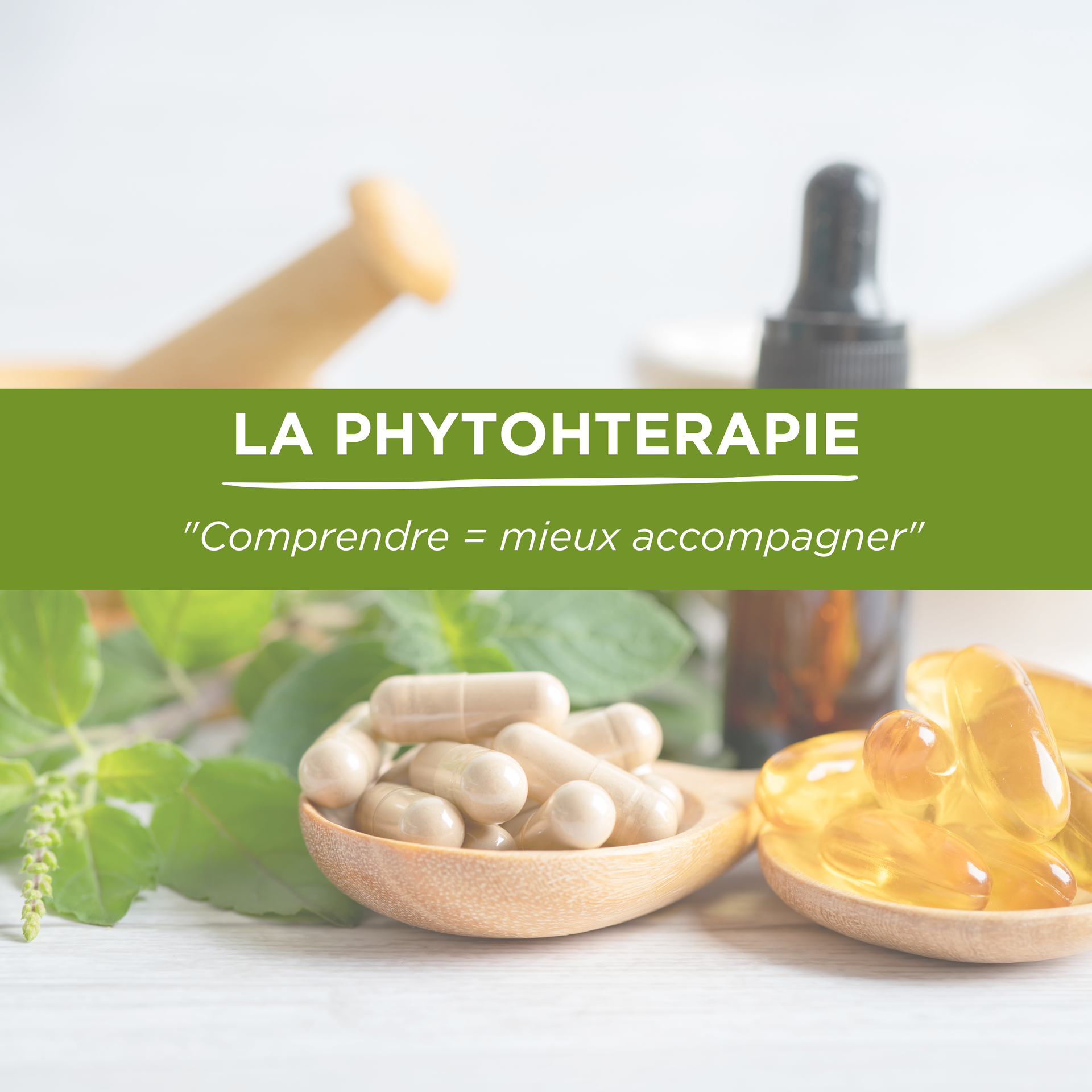 Plante fleurs naturopathie animal soins naturels 