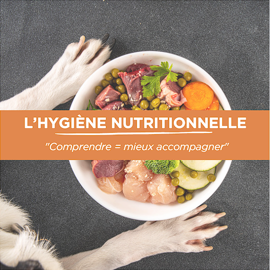 Alimentation nutrition ration ménagère barf cru croquette pâté manger