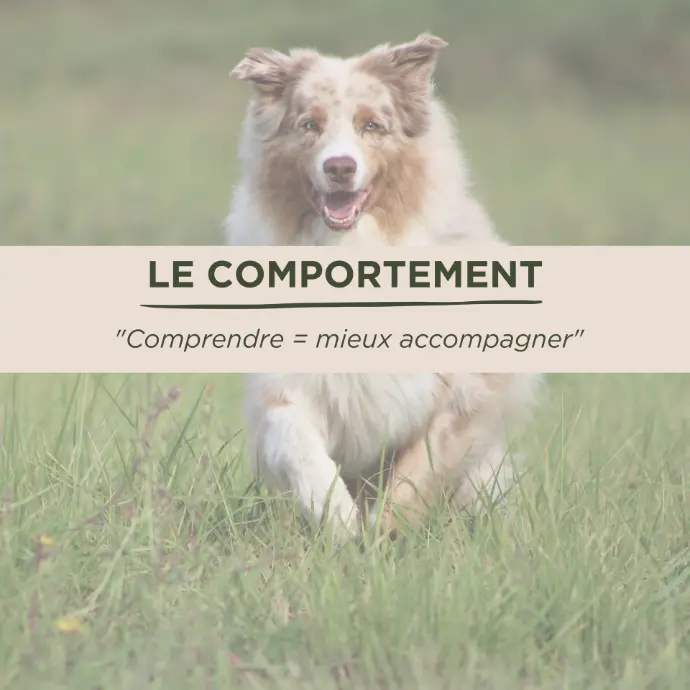 comportement éthologie naturopathie animal soins naturels 