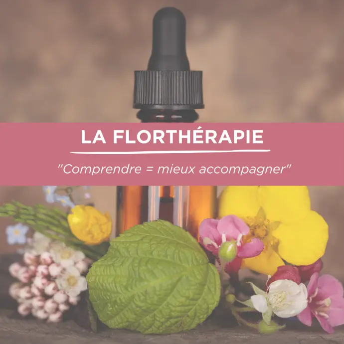 Fleurs ded Bach fleur de Bush naturopathie animal soins naturels 