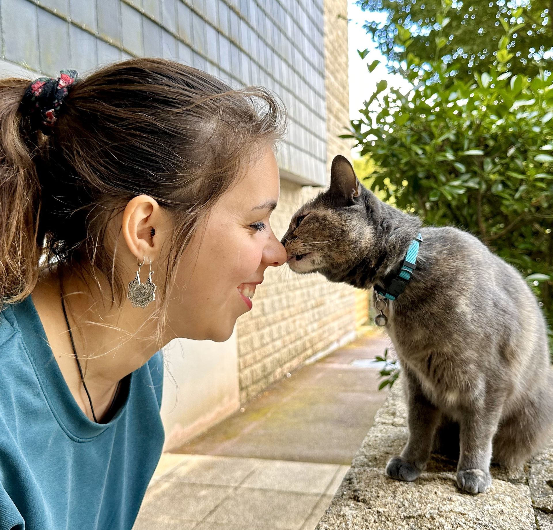 Tarifs pet sitting Pet sitting garde animaux chat chien cheval lapin furet poisson bienveillance